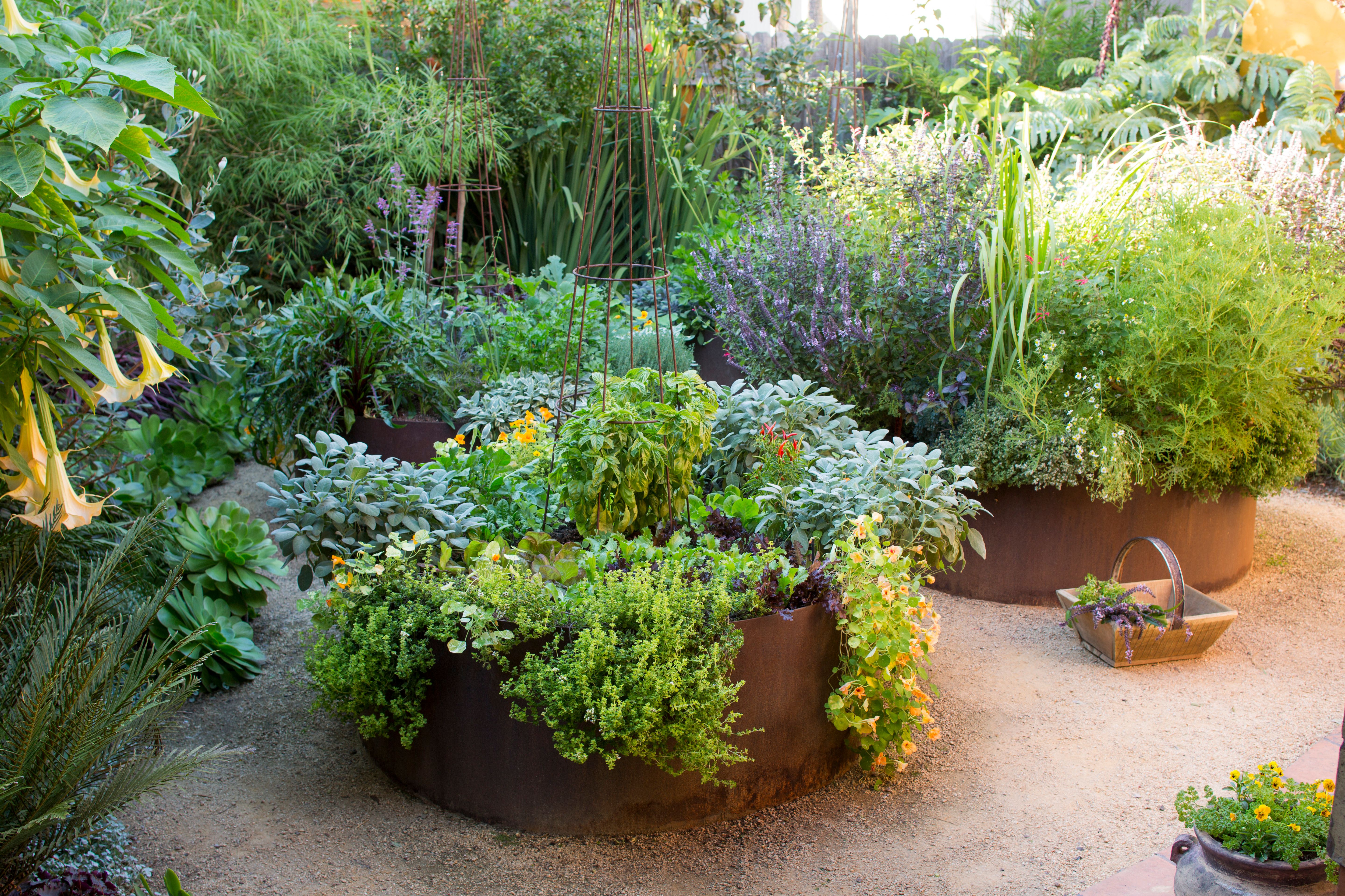 santosh_sthapit's tweet card. A prettier way to keep weeds out of your beds. #plantpower #naturalsolutions