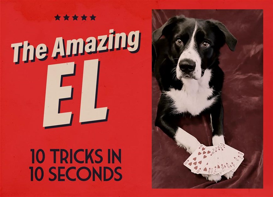 penneykatherine's tweet card. Help El Penney raise money to support Friends of Breathe Arts Health Research