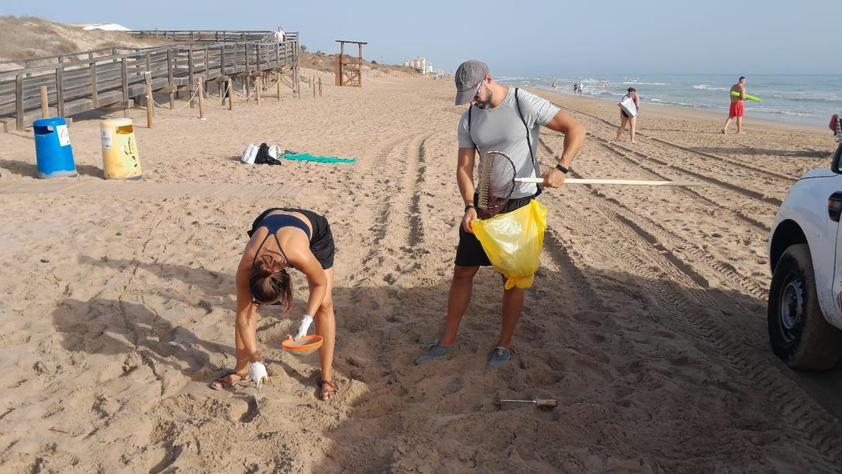 ecoembes's tweet card. Desde el pasado agosto y hasta diciembre, se busca movilizar a la ciudadanía para animarlos a participar en las 30 jornadas de limpieza organizadas por el litoral y el interior de la Comunitat...