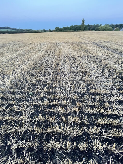 TheBiocharDemo's tweet card. In this blog post Carol Morris, Catherine Price and I want to present two articles on a rather niche topic relating to climate change mitigation – niche but nevertheless interesting and important:...