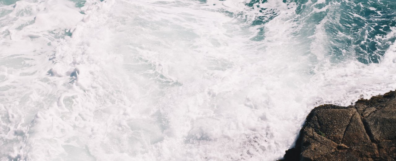 Circularity14's tweet card. Five critical success factors to becoming circular - learnings from Circularity, an agency at the frontline of transformation On Jan 31st 2021, Aotearoa’s Climate Change Commission (CCC), released...