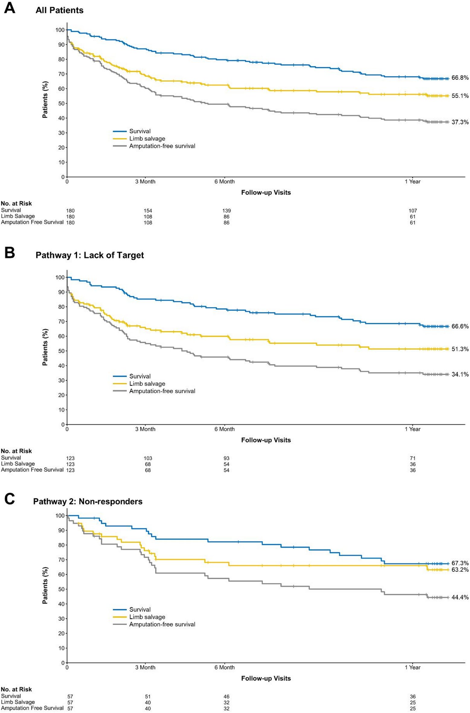 CLI_LimFlow's tweet card. Scientific Reports - Contemporary outcomes in no-option chronic limb-threatening ischemia