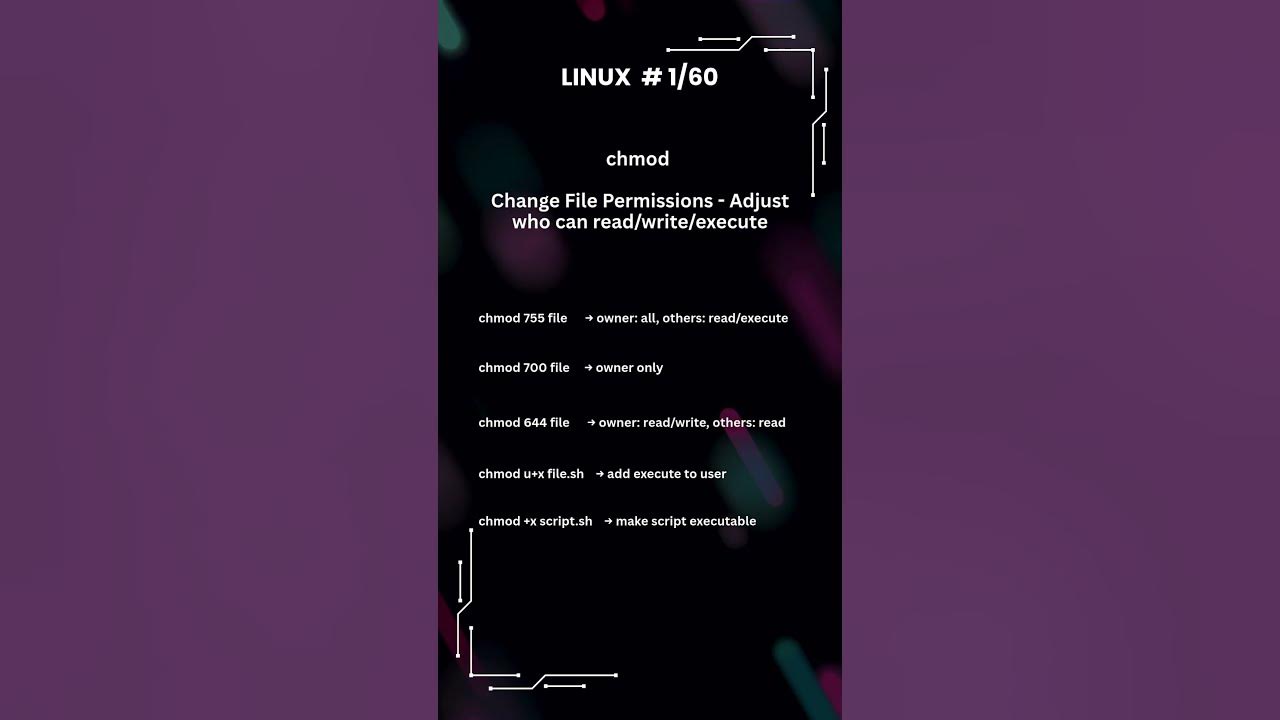 Informatykadlak's tweet card. Linux 1/60 #linux #linuxskills #shorts #trending