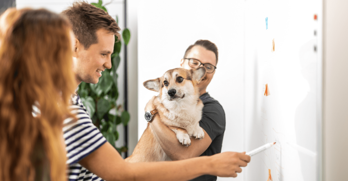 AdelphaTech's tweet card. Get the latest news on the digital experience platform market. Browse blogs that cover commerce, development, DXP, GDPR, marketing, MVC, and more.