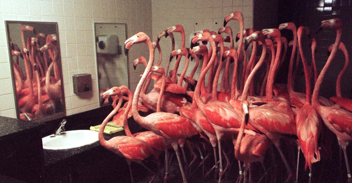 edyong209's tweet card. … including our own.