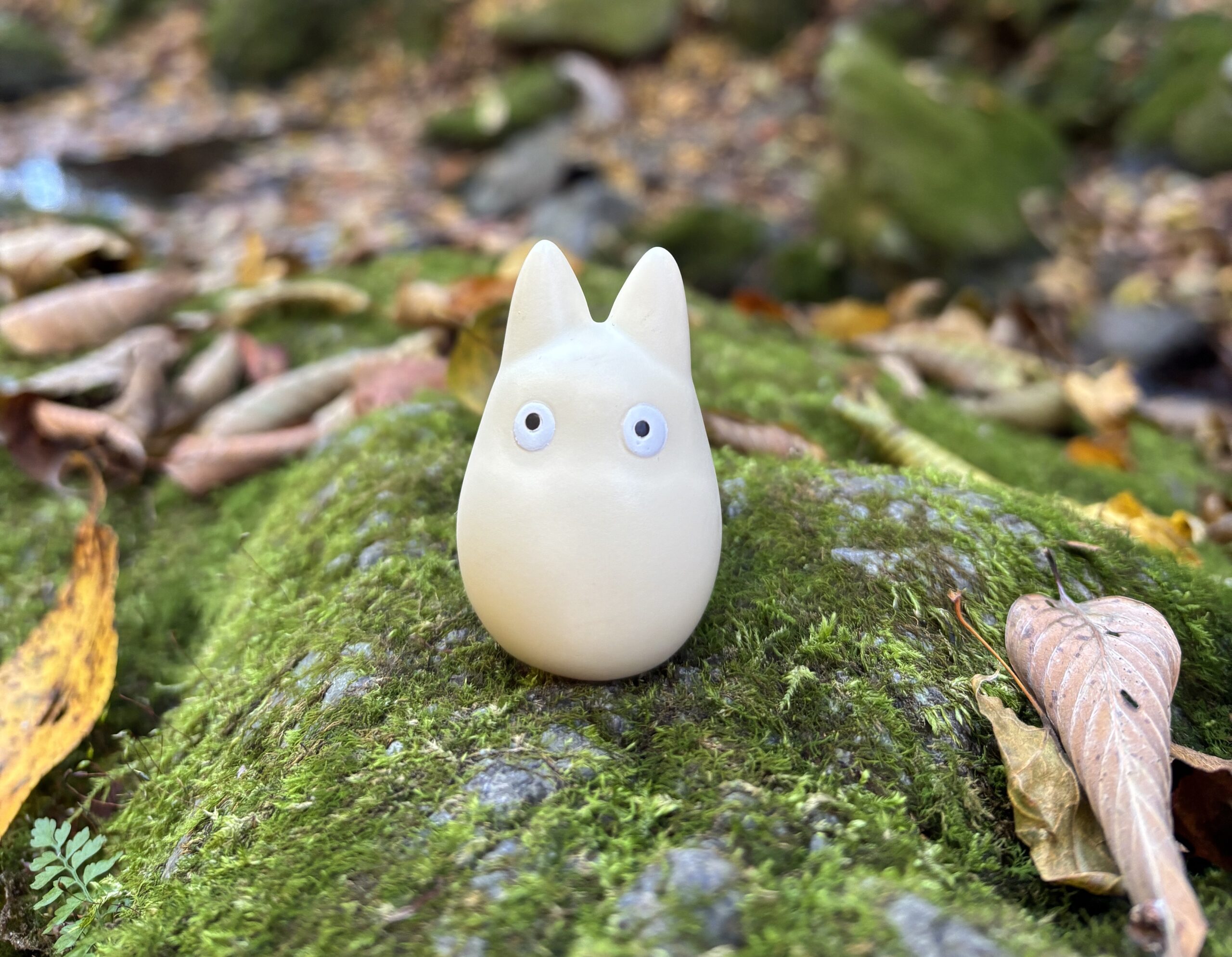 rinsimpl's tweet card. 春に参拝した御嶽神社を覚えていますか？同じ友人と、「また行こうか」と話していたその場所に、季節を変えて再訪しました。 今回は、神社ではなくロックガーデン。目的はもちろん、紅葉です。 少し早めの紅葉、それでも十分きれい 訪れたのは昨日（11月