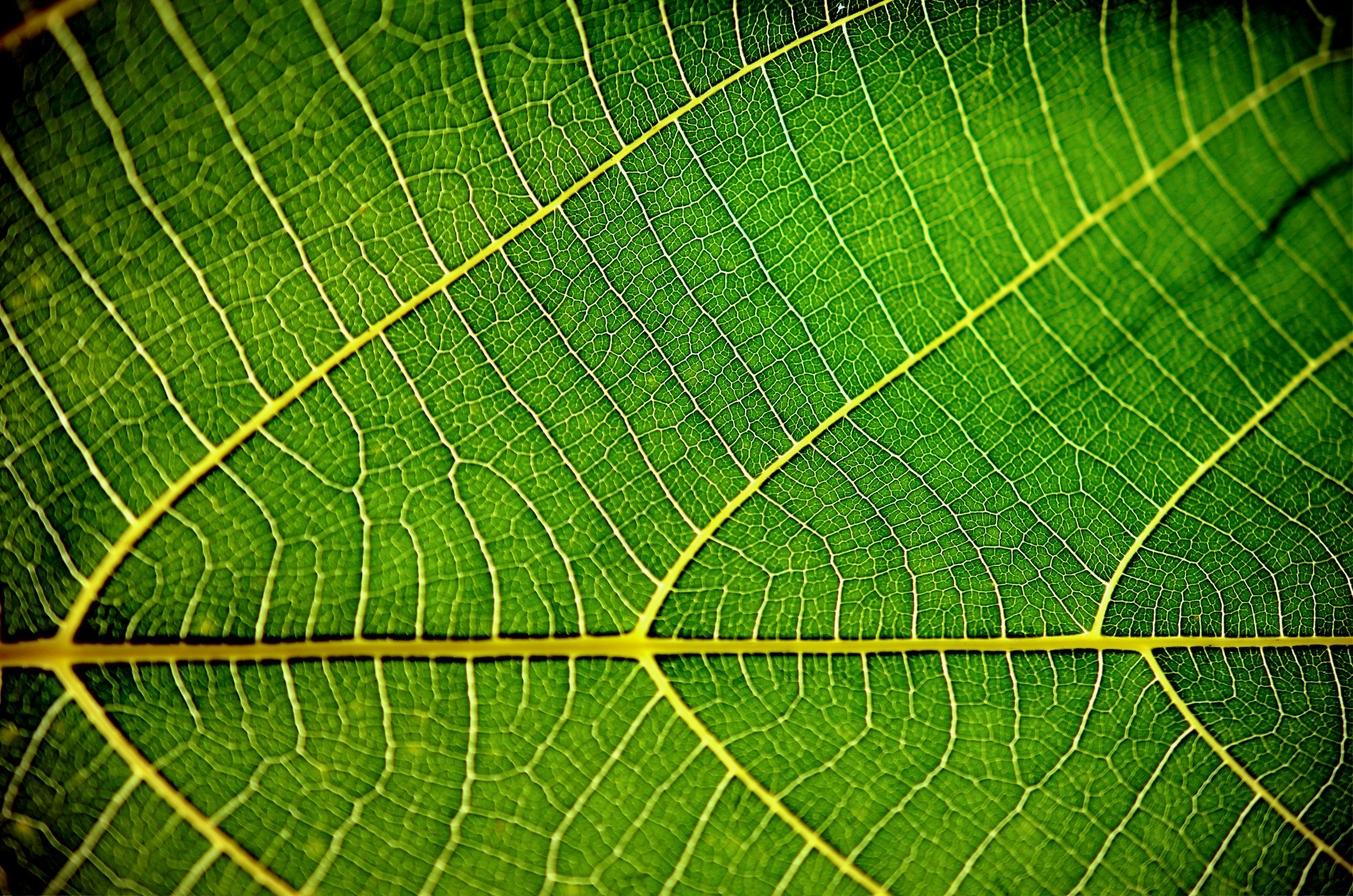 RuderFinn's tweet card. Today: Neo4j co-founder and CEO Emil Eifrem explains how Klarna used graph databases to chart its own enterprise software path, Oracle buries its head further in the sand as customers start asking...