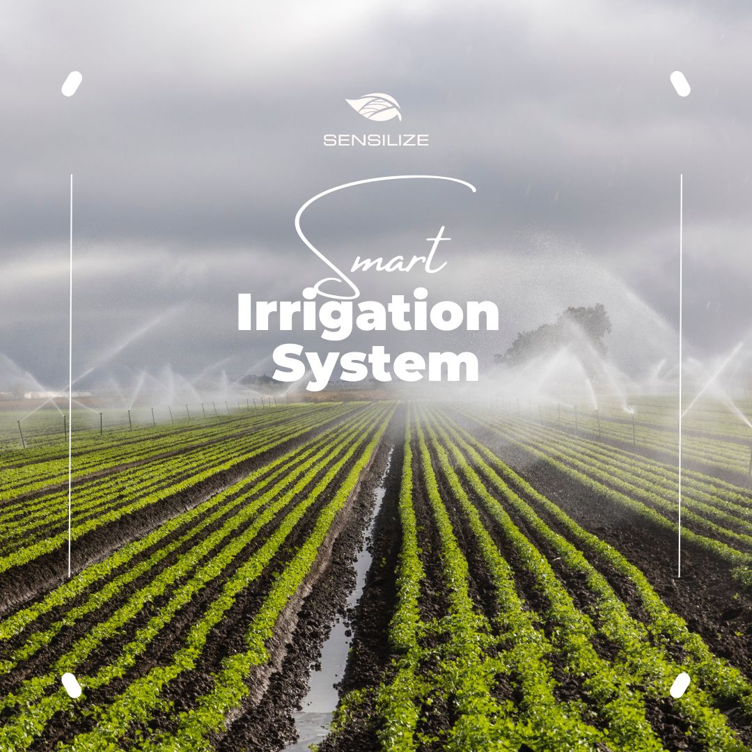 sensilize's tweet card. Smart Irrigation Systems. Smart irrigation systems are an innovative approach to irrigation that use technology to optimize water usage and improve crop yields. Unlike traditional irrigation systems,...