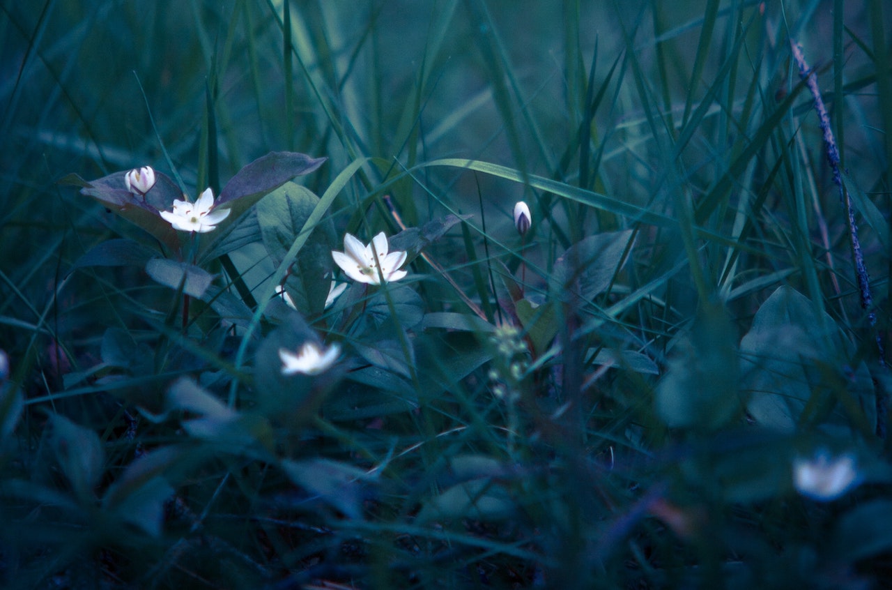 t_e_bailey's tweet card. Scaling SEO involves identifying patterns in your research to make informed decisions. Take a deep dive into managing the complexities of tech SEO at scale.