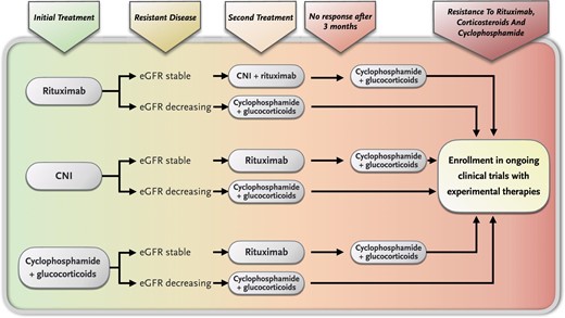 CKJsocial's tweet card. ABSTRACT. Among all glomerular diseases, membranous nephropathy (MN) is perhaps the one in which major progress has been made in recent decades, in both th