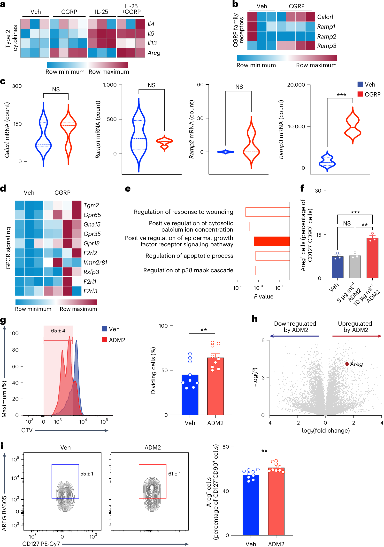 Lo_Zanzi's tweet card. Nature Immunology - Artis and colleagues show that enteric neurons produce CGRP-related ADM2 to promote intestinal tissue-protective functions in ILC2s.