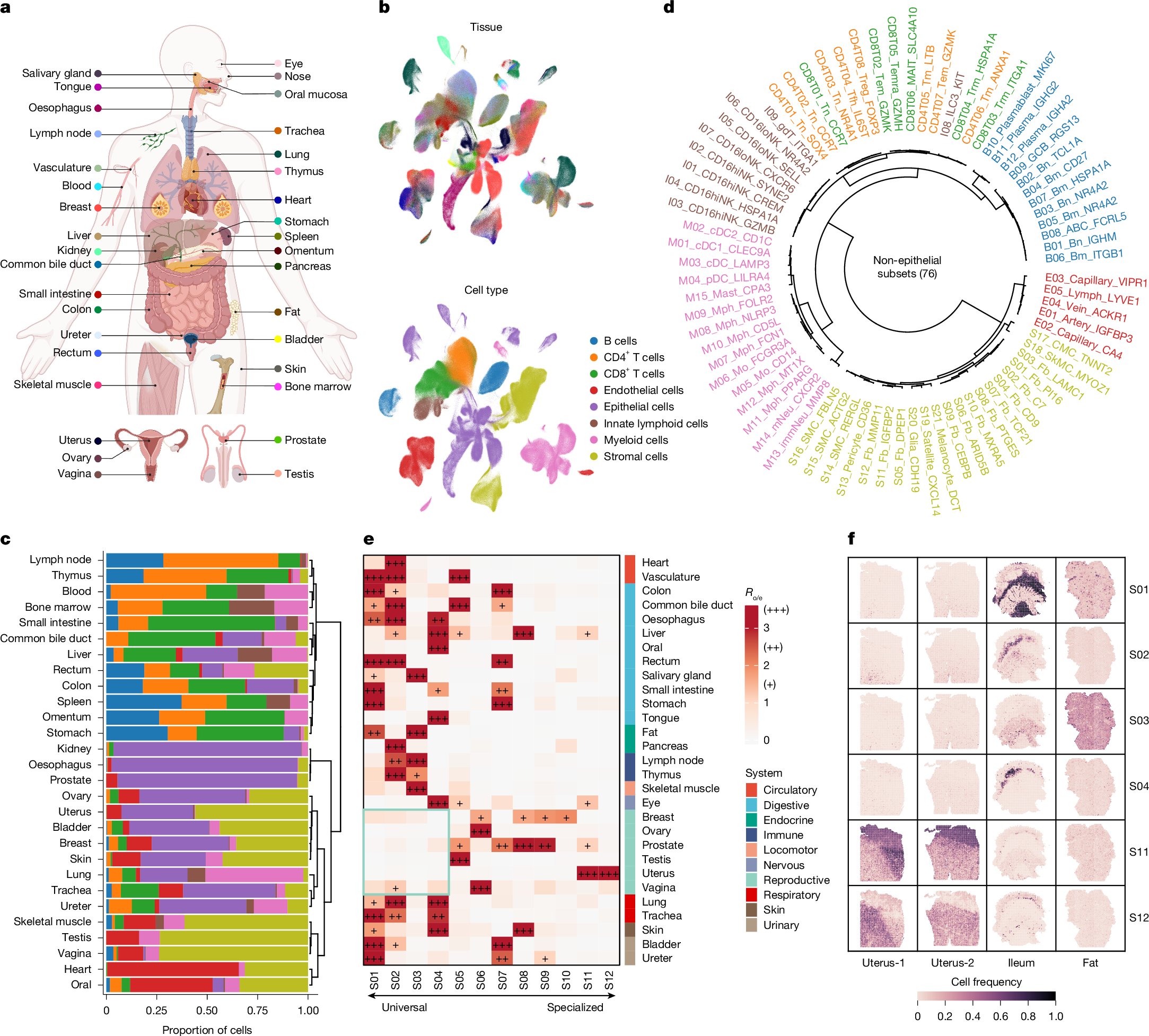 Nature's tweet card. Nature - Comprehensive single-cell transcriptomic analysis of 35 human tissues reveals 12 cross-tissue coordinated cellular modules that exhibit intramodule communication and dynamic changes with...