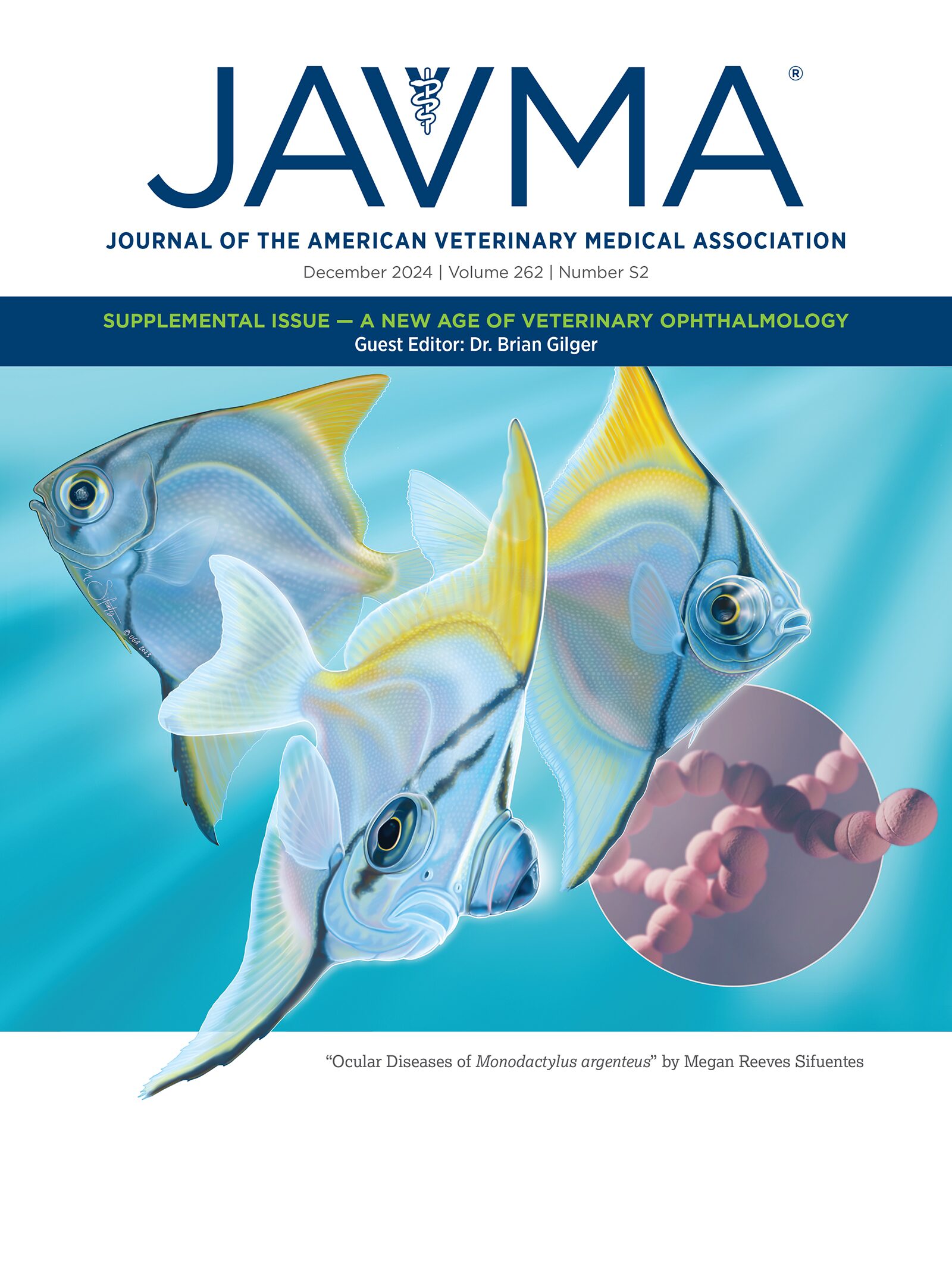 AVMAJAVMA's tweet card. Abstract OBJECTIVE To evaluate the long-term efficacy, prognostic factors, and complications of intravitreal cidofovir injection in dogs with end-stage glaucoma. ANIMALS 130 client-owned dogs....
