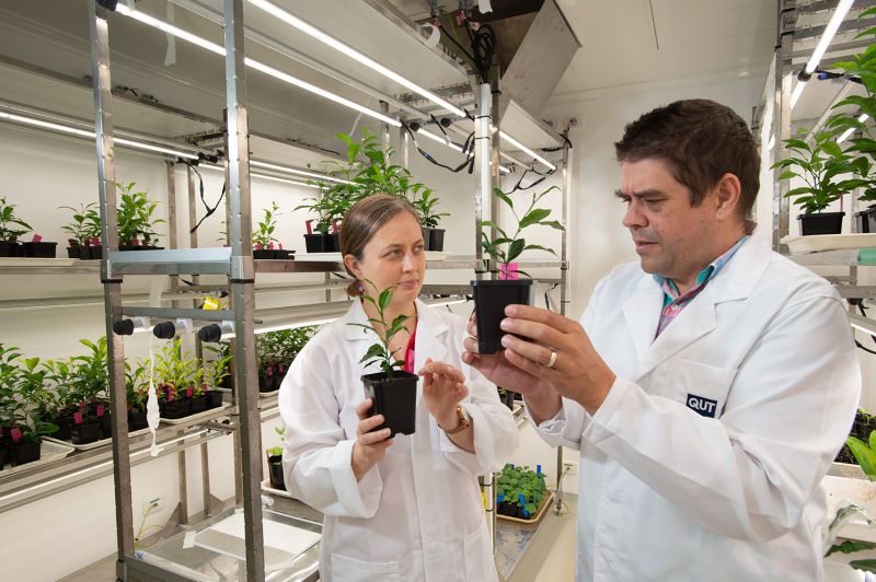 QUTRobotics's tweet card. Growers and plant scientists are working together on a new $41M tree crop program to fast-track the development of almond, apple, citrus, macadamia and mango varieties for consumers in Australia and...