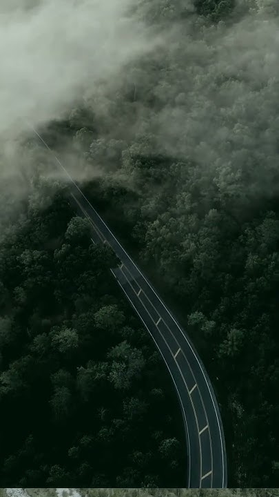 LindaJSmit981's tweet card. NATURAL FACTS