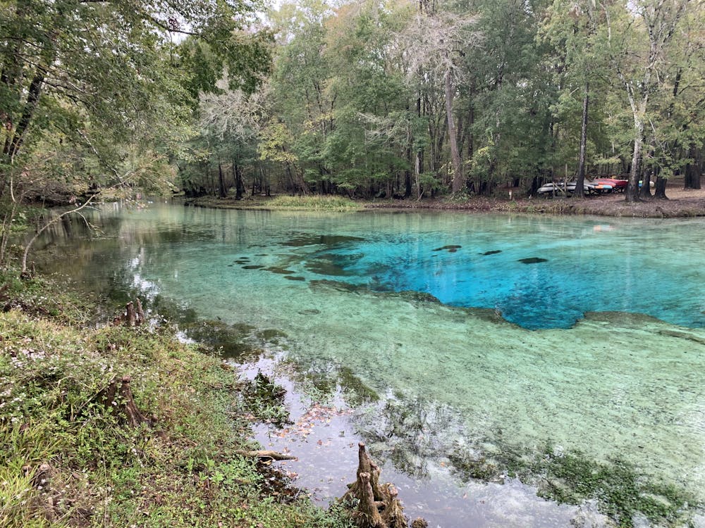 floridafriends's tweet card. Florida’s springs are a window into the state’s groundwater system. Revitalizing them will require multiple solutions tailored to each spring.