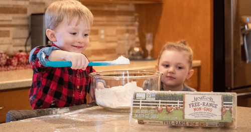 MacKidSBirmingh's tweet card. Here's your chance to win! NestFresh Eggs uses regional, family-owned farms to produce and supply farm fresh NestFresh Eggs in a local, sustainable system #mknestfresh #ad