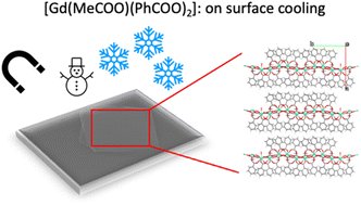 JakubHruby33's tweet card. Gd complexes have been studied as magnetic coolants due to their large magneto-caloric effect. In this work we present a Gd 2D metal–organic framework (MOF) of formula [Gd(MeCOO)(PhCOO)2] (1). We...