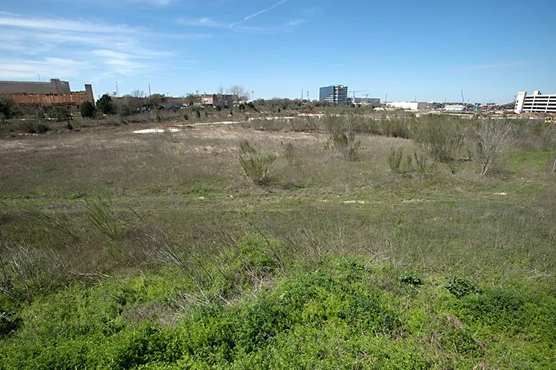 AustinChronicle's tweet card. Precourt vs. the field