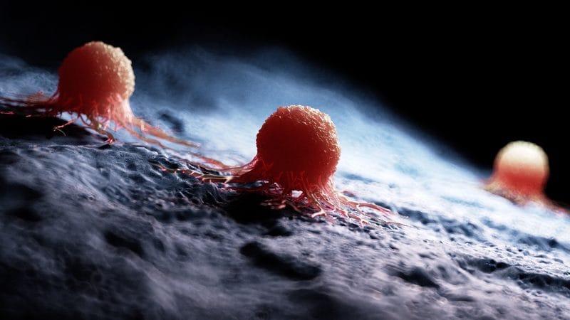 Nolangeni's tweet card. Möglicherweise größter Medizinskandal: Fast 50 Studien berichten über einen zeitlichen Zusammenhang...