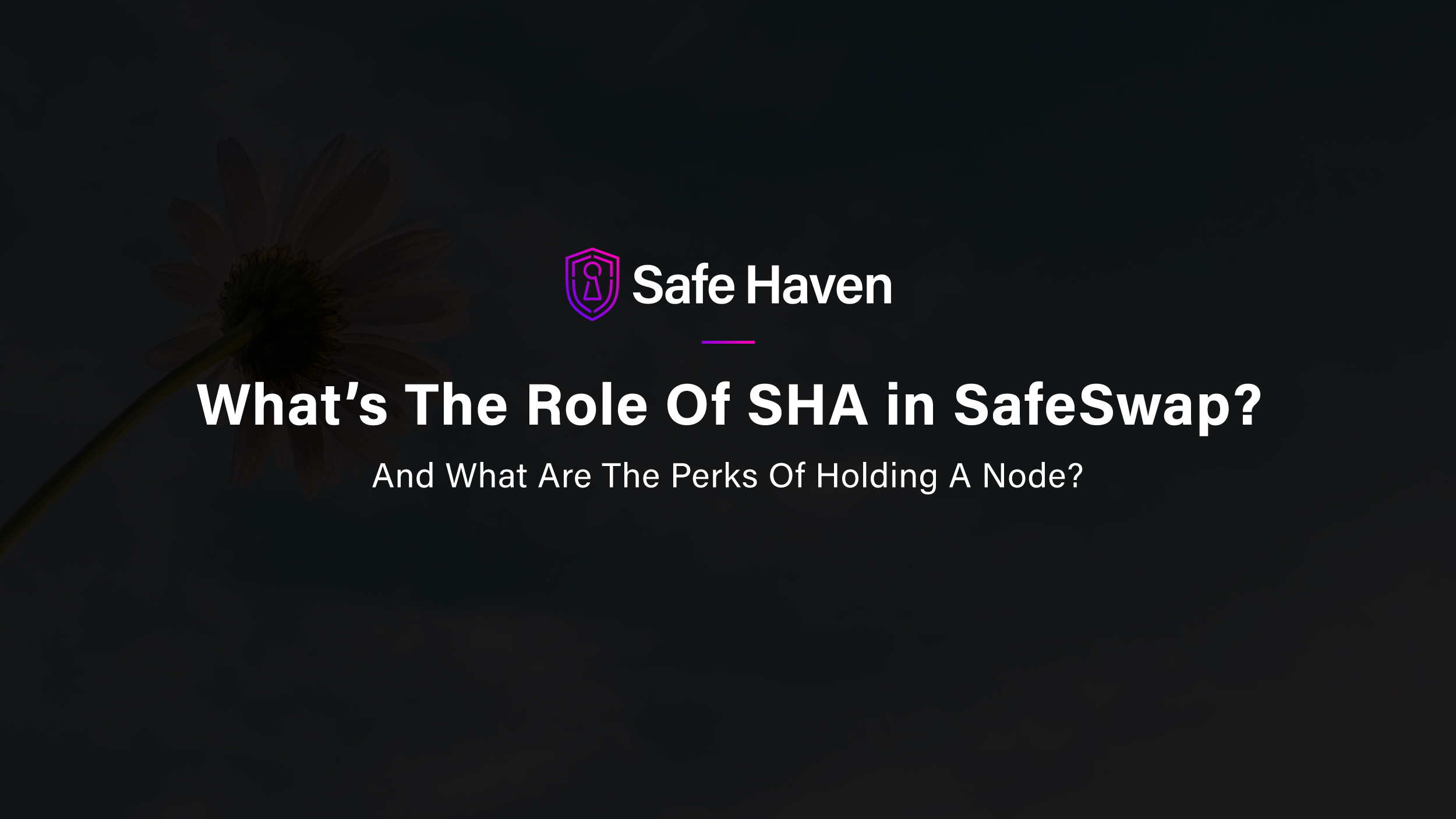 SafeHavenio's tweet card. We are excited the release of SafeSwap is around the corner. As part of Safe Haven’s trusted ecosystem, SafeSwap will not only bring a revolutionary atomic swapping platform to the market, but it...