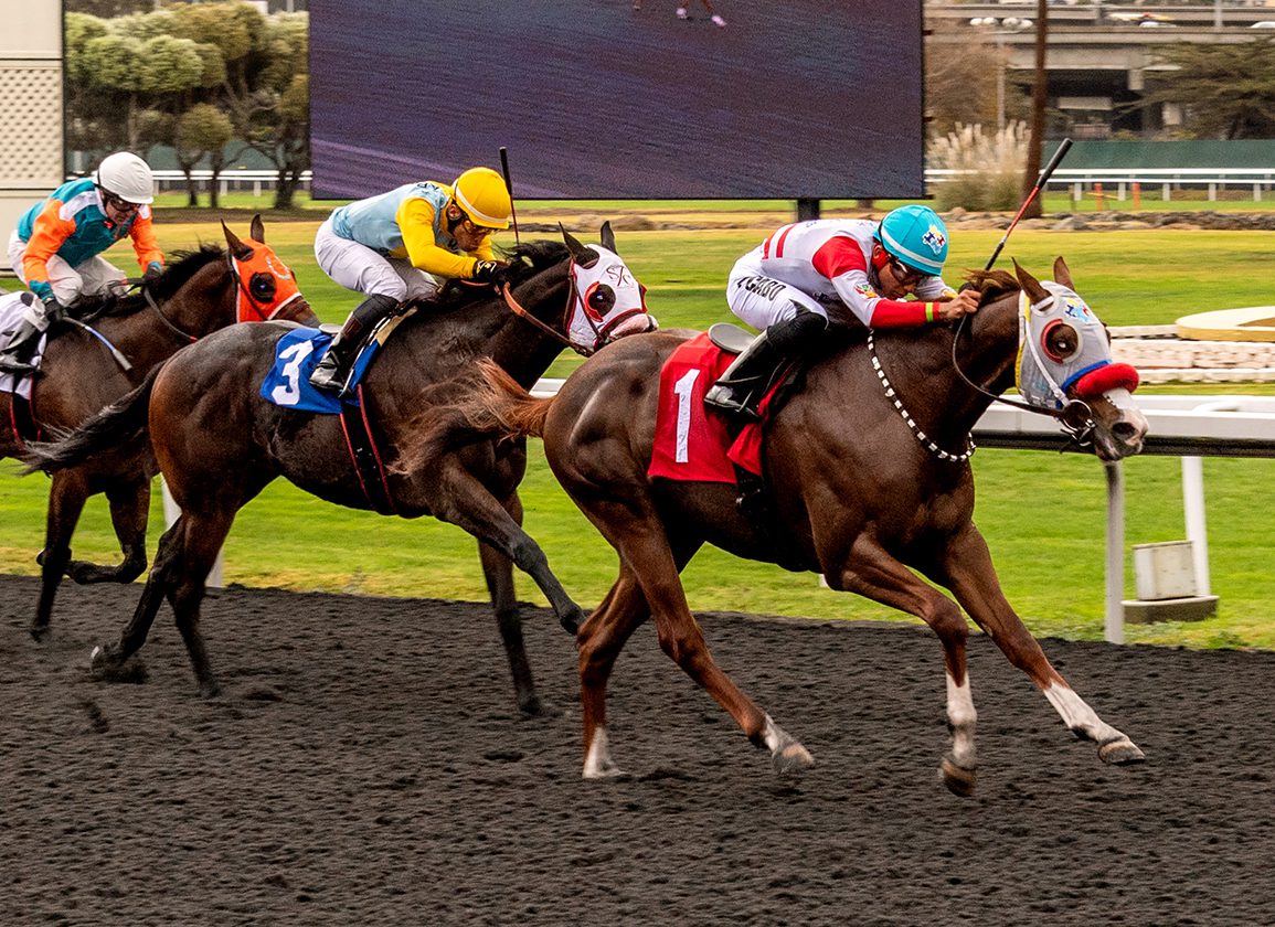 jtaboada12's tweet card. When you live within the world of autism, you have a special antenna for the word and its associations, a heightened sensitivity. It was on a late December evening that a horse called In Honor of...