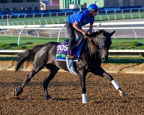 danhaddock3's tweet card. Godolphin's Rebel's Romance, based in England, but a true globe-trotting athlete, can join Goldikova and Beholder as the only three-time Breeders' Cup winners as he tries for a third Turf after...