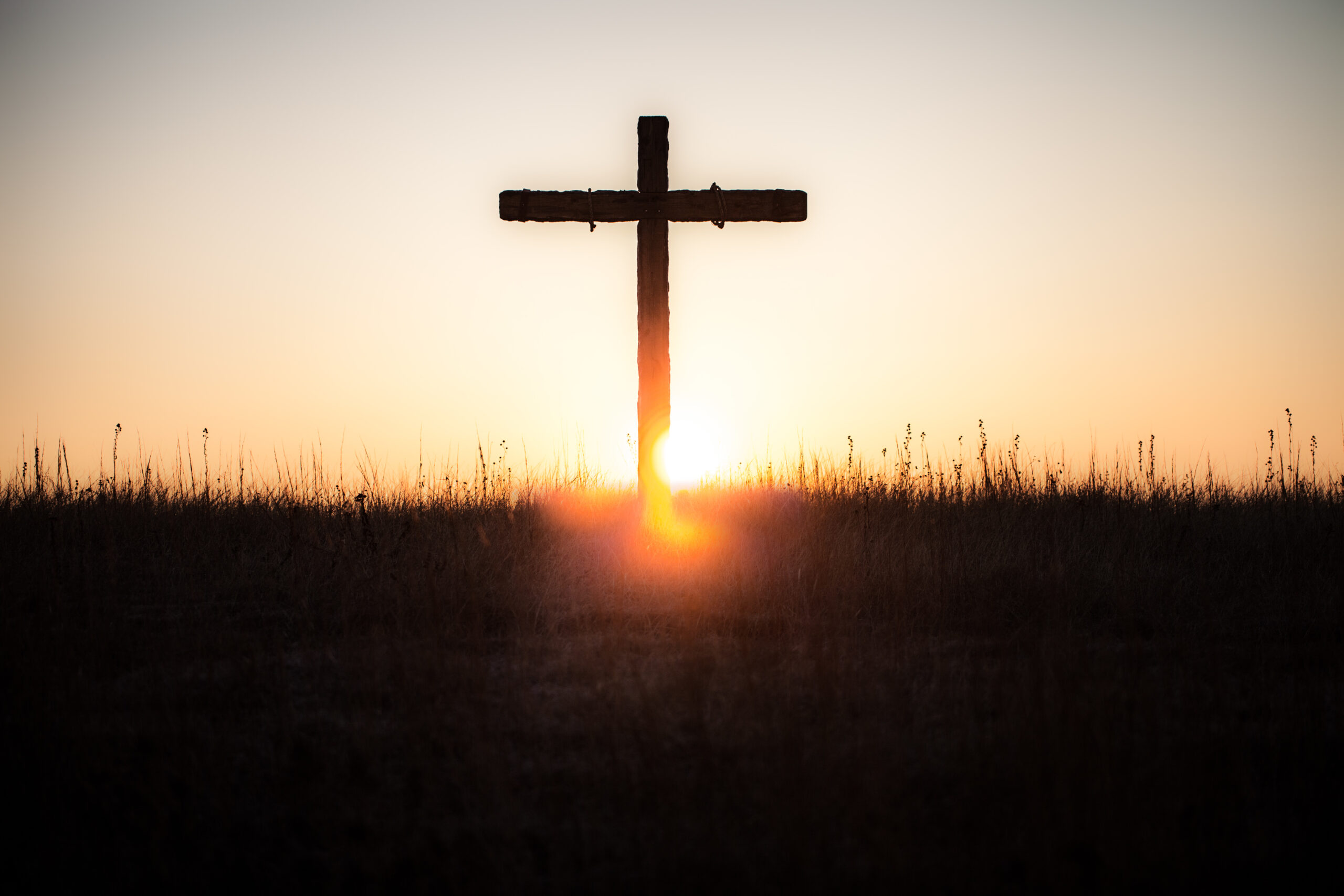 david_haarmeyer's tweet card. Anger can be replaced with forgiveness. Revenge can be transformed into blessing. This can be victory over violence.