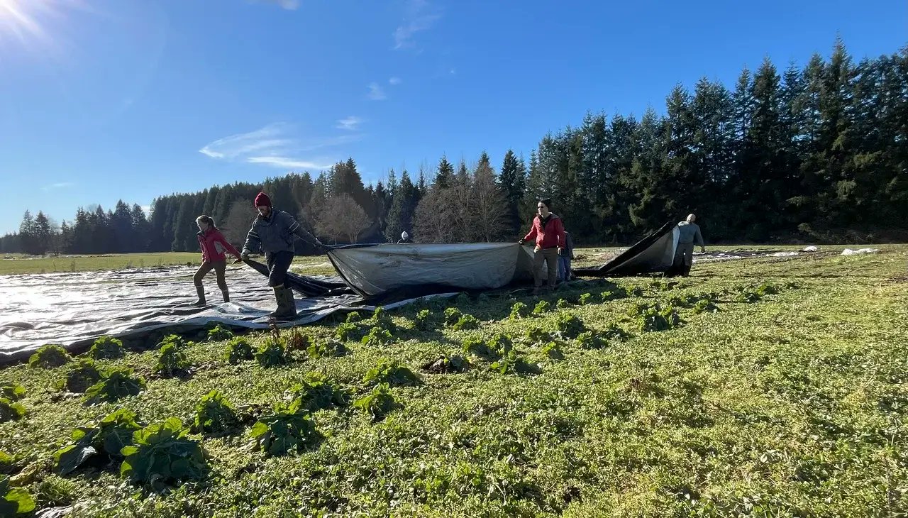 ModFarm's tweet card. It’s a rare sunny day in January, and about a dozen people gather on a farm in Snohomish County, Washington. The farmer, Brett Aiello of Reconnecting