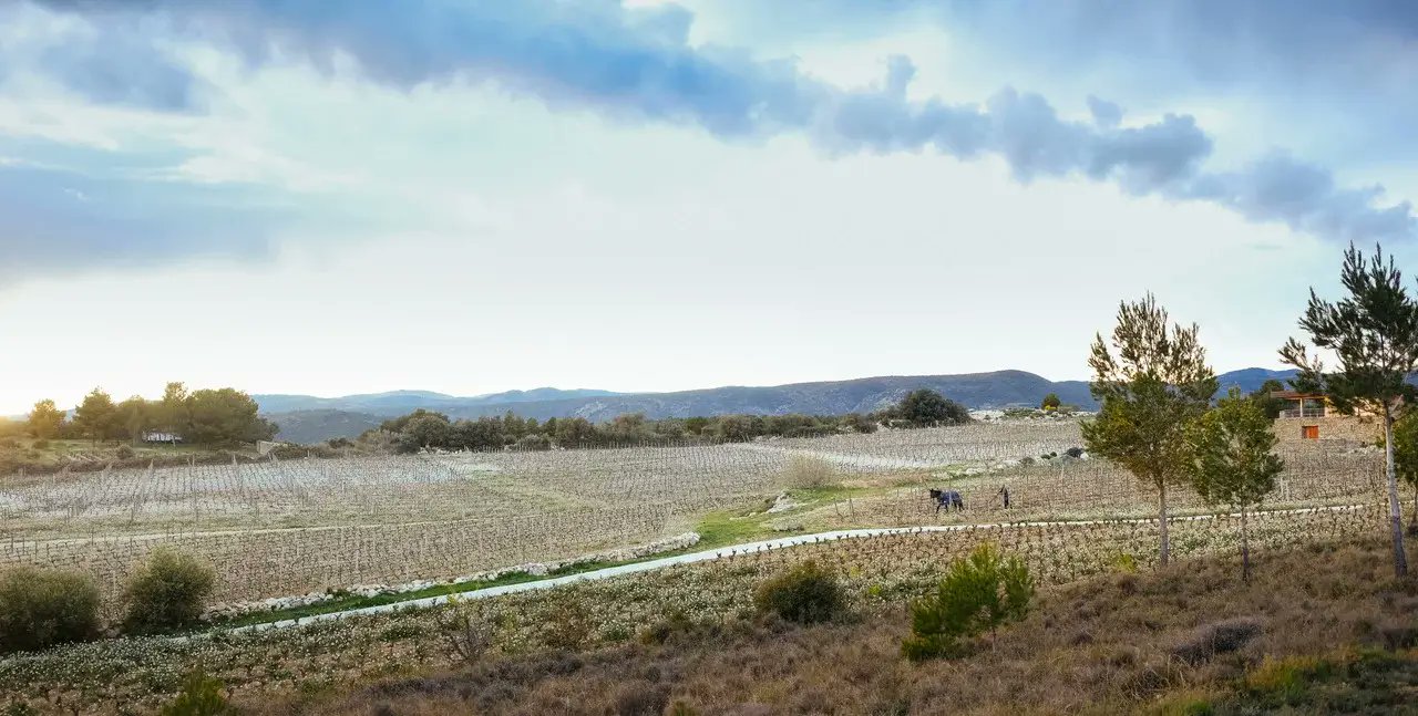 ModFarm's tweet card. For decades after the concept of biodynamic farming was introduced in 1924, there was an aura of witch and wizard mysticism and charmingly earnest