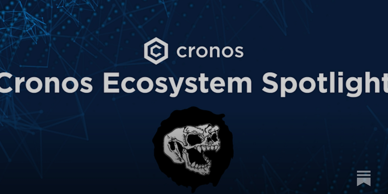 cronos_chain's tweet card. Read on to find out more about Mad Meerkat NFT, their experience on Cronos, and its upcoming product features roadmap.