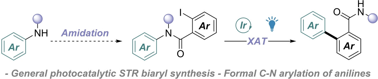 angew_chem's tweet card. A photocatalytic, XAT mediated Smiles-Truce biaryl synthesis is described. The reaction uses mild methods to generate and chemoselectively harness capricious aryl radicals, efficiently furnishing...