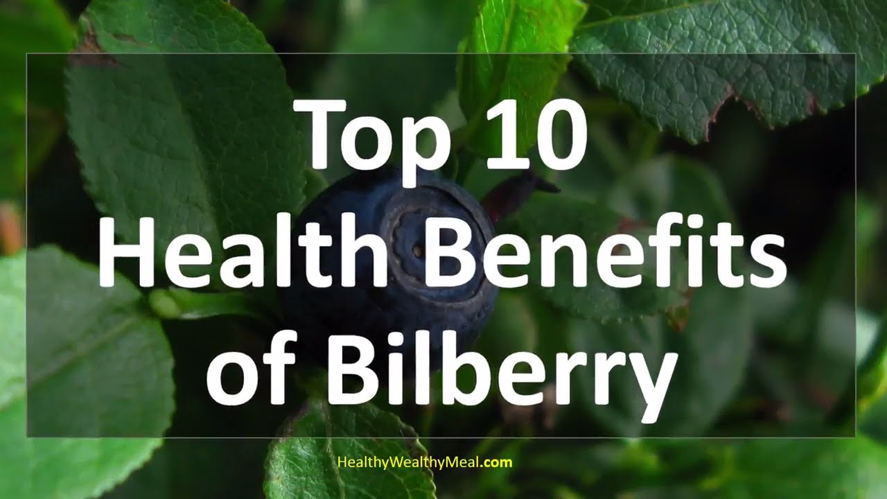 Techgrowsoft1's tweet card. Top 10 Health Benefits of Bilberry | healthy Wealthy Tips