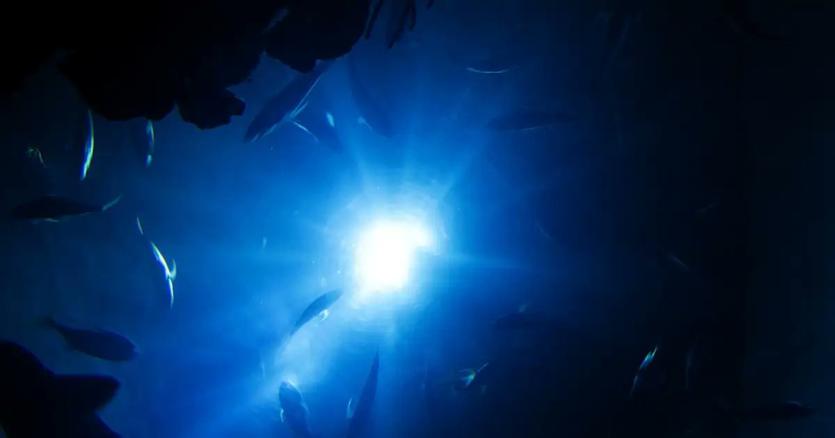 carsan12's tweet card. El material se extrajo de un volcán de lodo y su pH alcanzó un valor de 12. No se creía posible la existencia de vida en entornos submarinos así