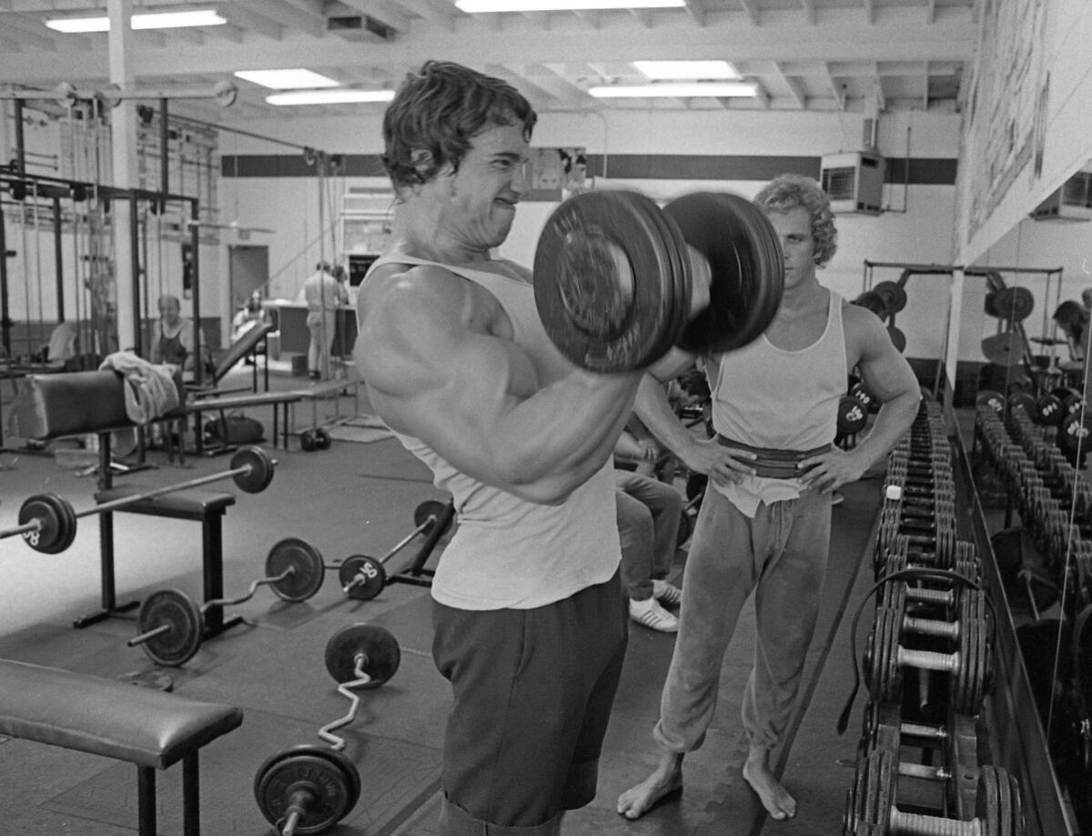 Schwarzenegger's tweet card. Workout Guide 2025