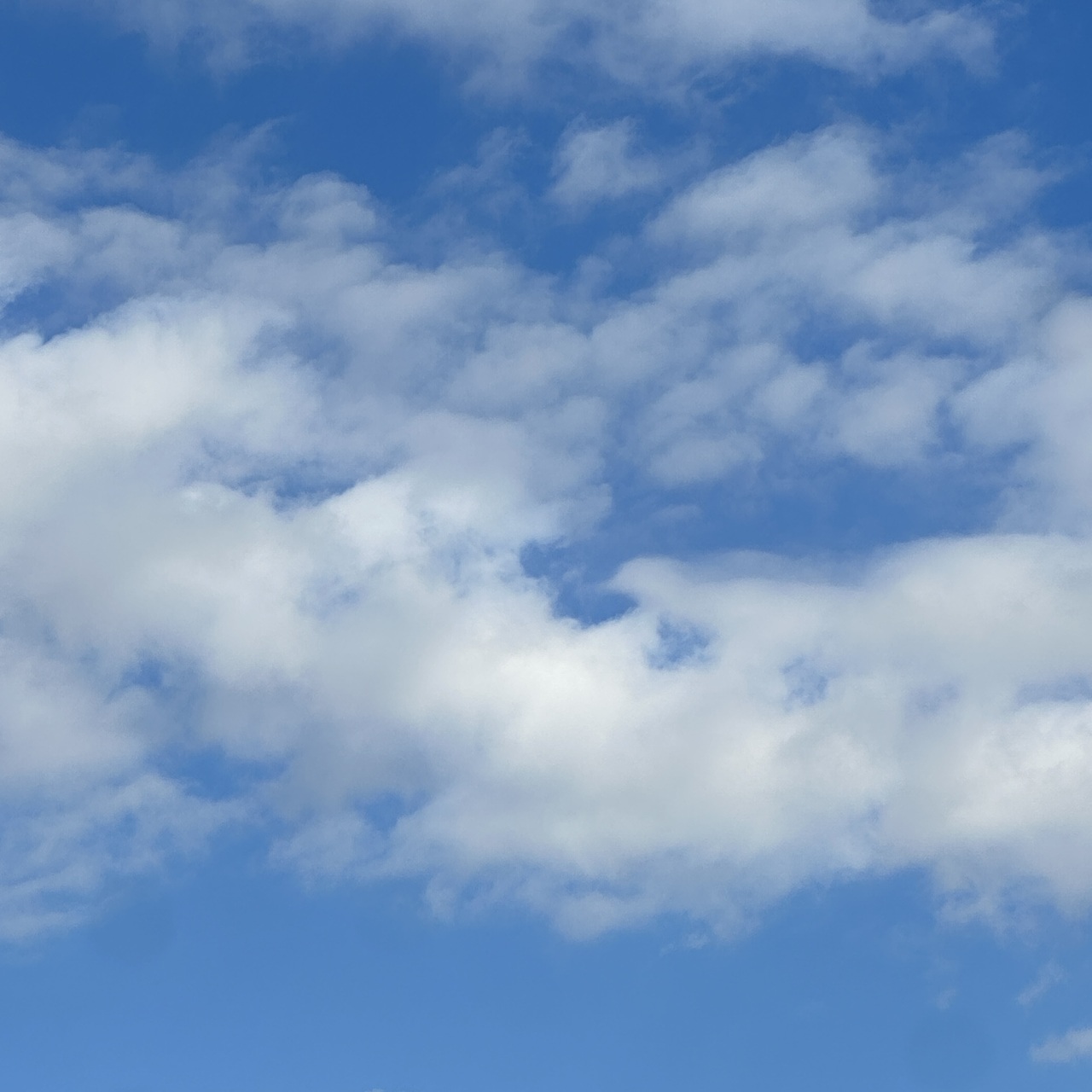 sakurazaka46's tweet card. 櫻坂46公式サイト