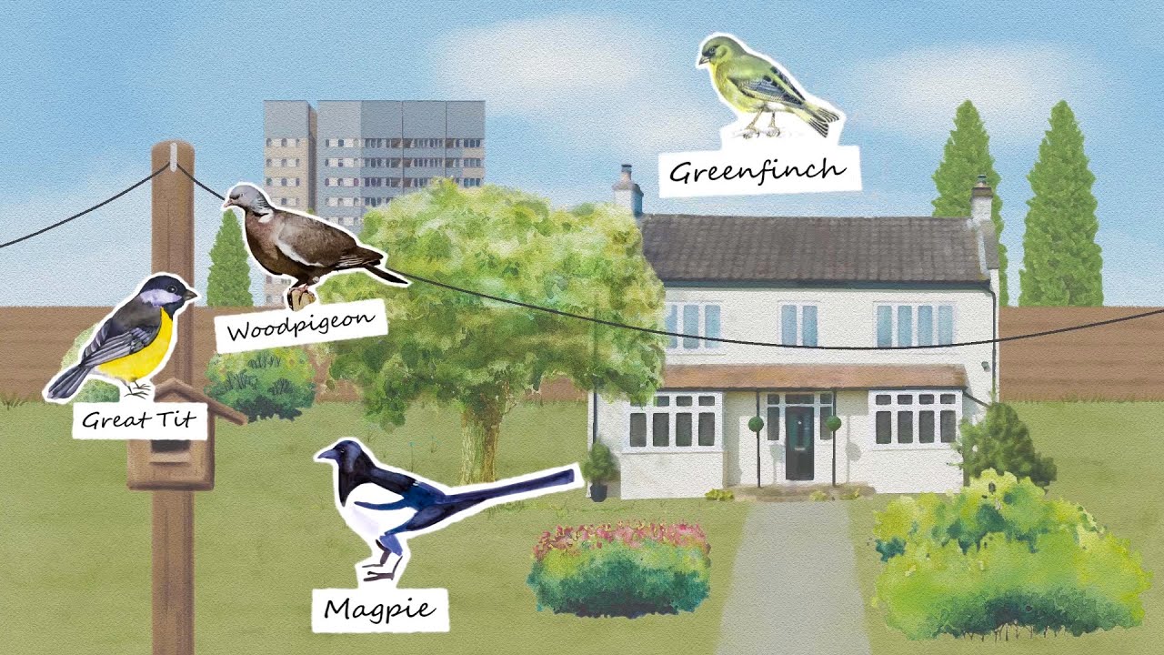 StrandTechLtd's tweet card. British Birdsong Montage | International Dawn Chorus Day | BBC Earth