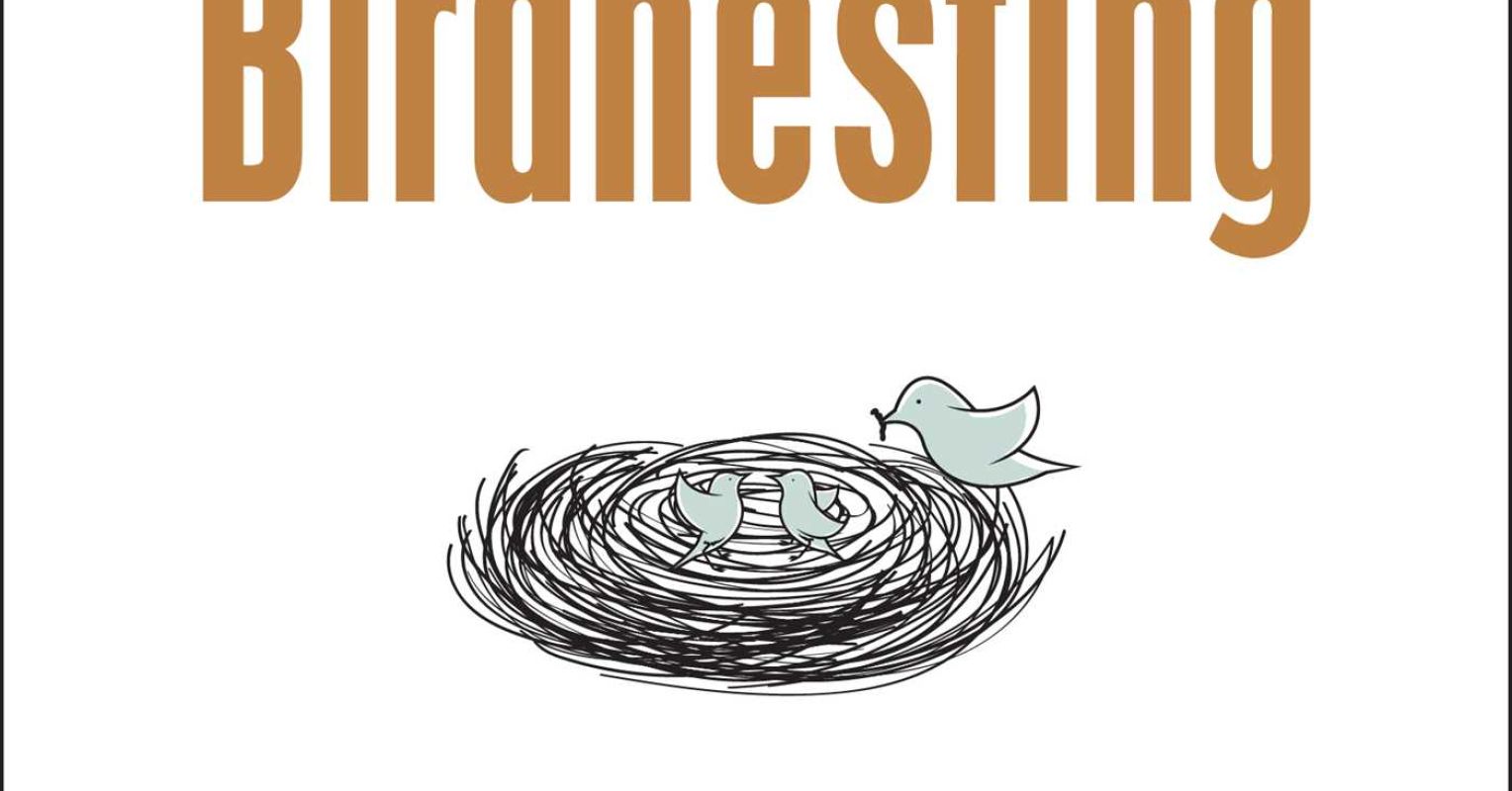 BirdnestProject's tweet card. Does the child-centered divorce truly exist? This comprehensive guide explains how to set up a Birdnesting agreement, a truly child-centered approach to divorce.