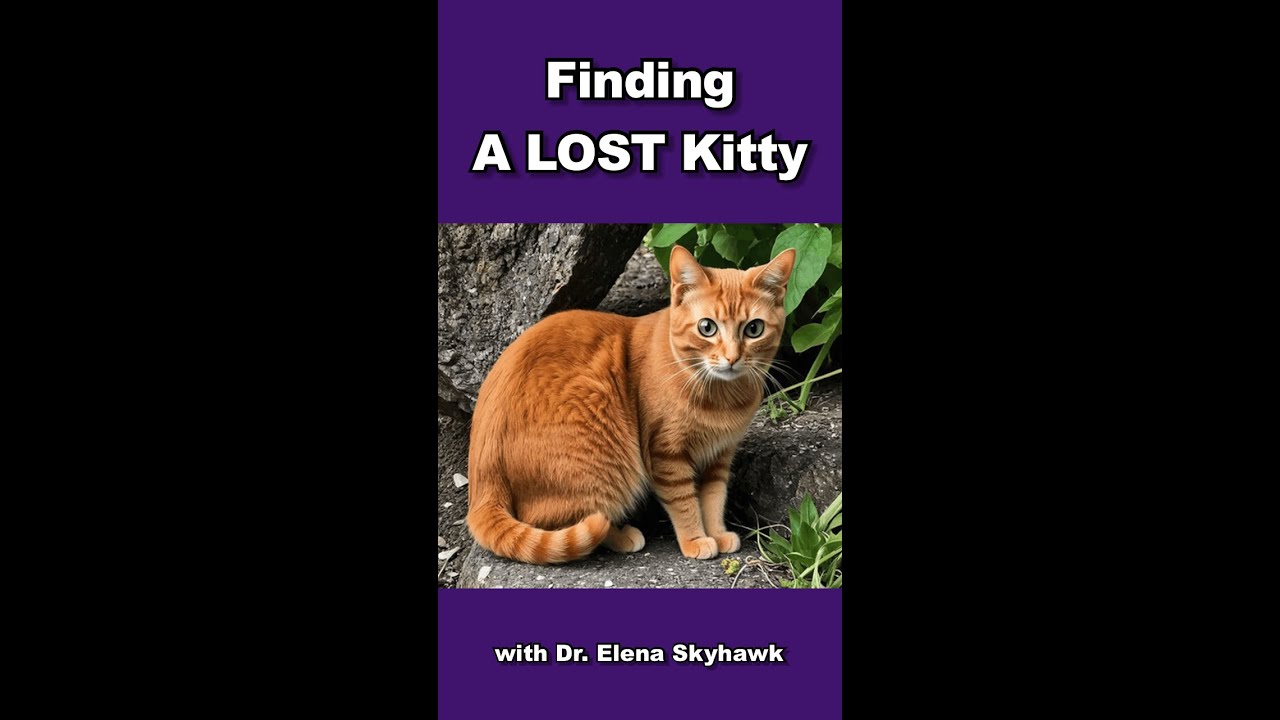 AkashaUnleashed's tweet card. Spirit Walk to Find Lost Cat #shorts