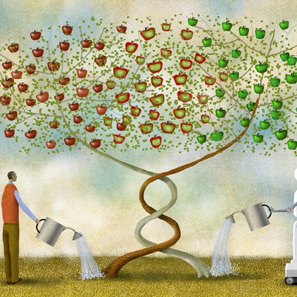 Tweet card summary image