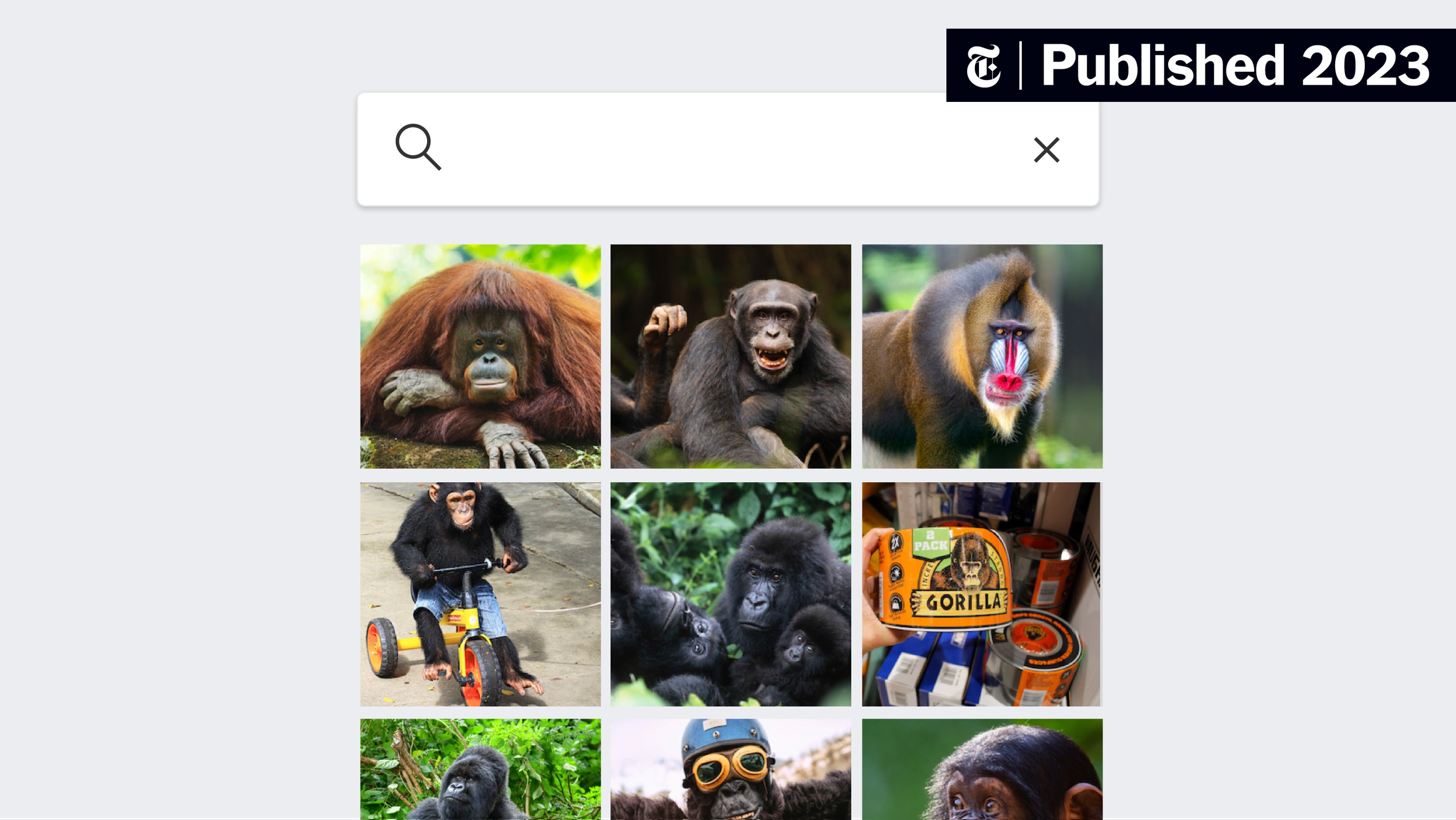 GeeksTechTweets's tweet card. Eight years after a controversy over Black people being mislabeled as gorillas by image analysis software — and despite big advances in computer vision — tech giants still fear repeating the mistake.