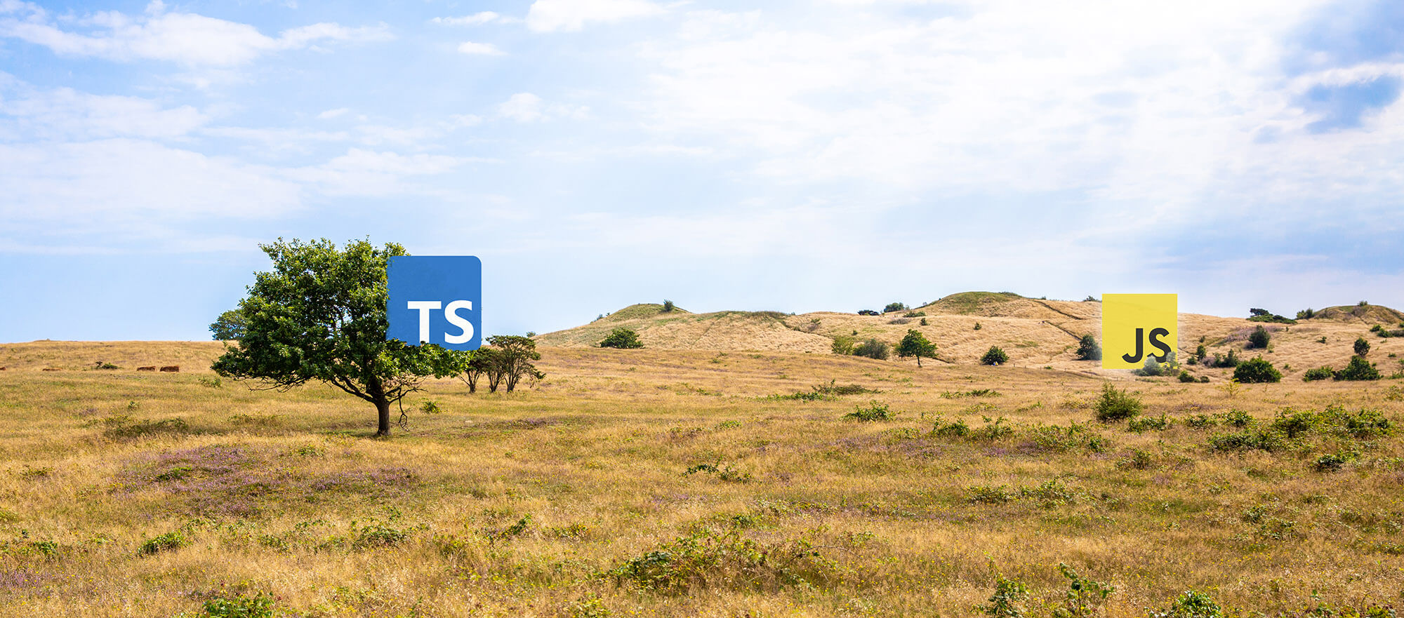 michaelbe812's tweet card. 🚀 Did you know that properties are implemented slightly differently in JavaScript and TypeScript and that there is an incompatible behaviour? That's why projects with Angular 15 have the option...