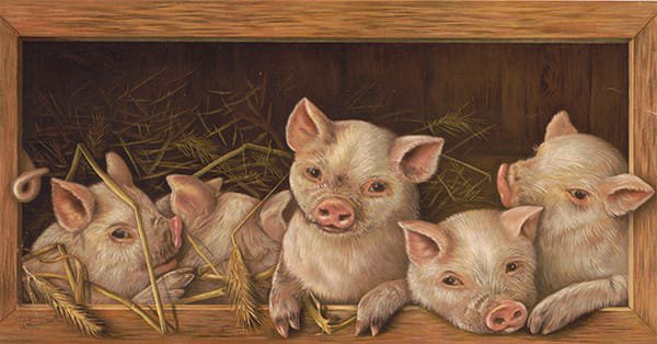 Tweet card summary image