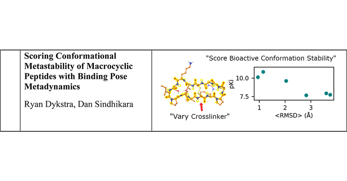 JCIM_JCTC's tweet card. Potency optimization of macrocyclic peptides can include both modifying intermolecular interactions and modifying the conformational stability of the bioactive conformation. However, the number of...