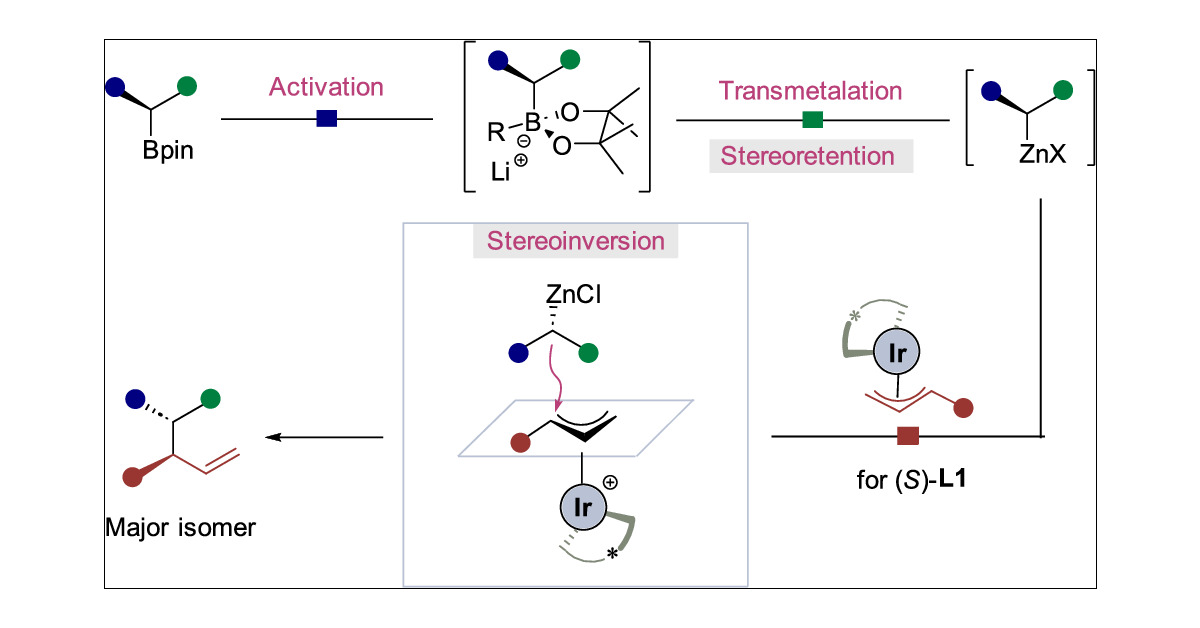 J_A_C_S's tweet card. The stereocontrolled C(sp3)–C(sp3) cross-coupling represents a considerable challenge of great contemporary interest. While this has been achieved through the reactions of boronate complexes with...