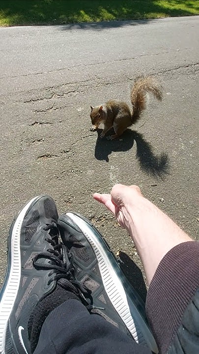 2chriscolin1010's tweet card. 🐿 this was taken in June 2023. I hope you enjoy #bekindtoanimals