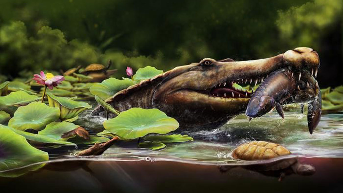 DailyGeekShow's tweet card. Dans le désert occidental égyptien, des fouilles paléontologiques ont révélé les restes du plus ancien crocodile marin connu, bouleversant l’histoire évolutive de ces redoutables prédateurs.