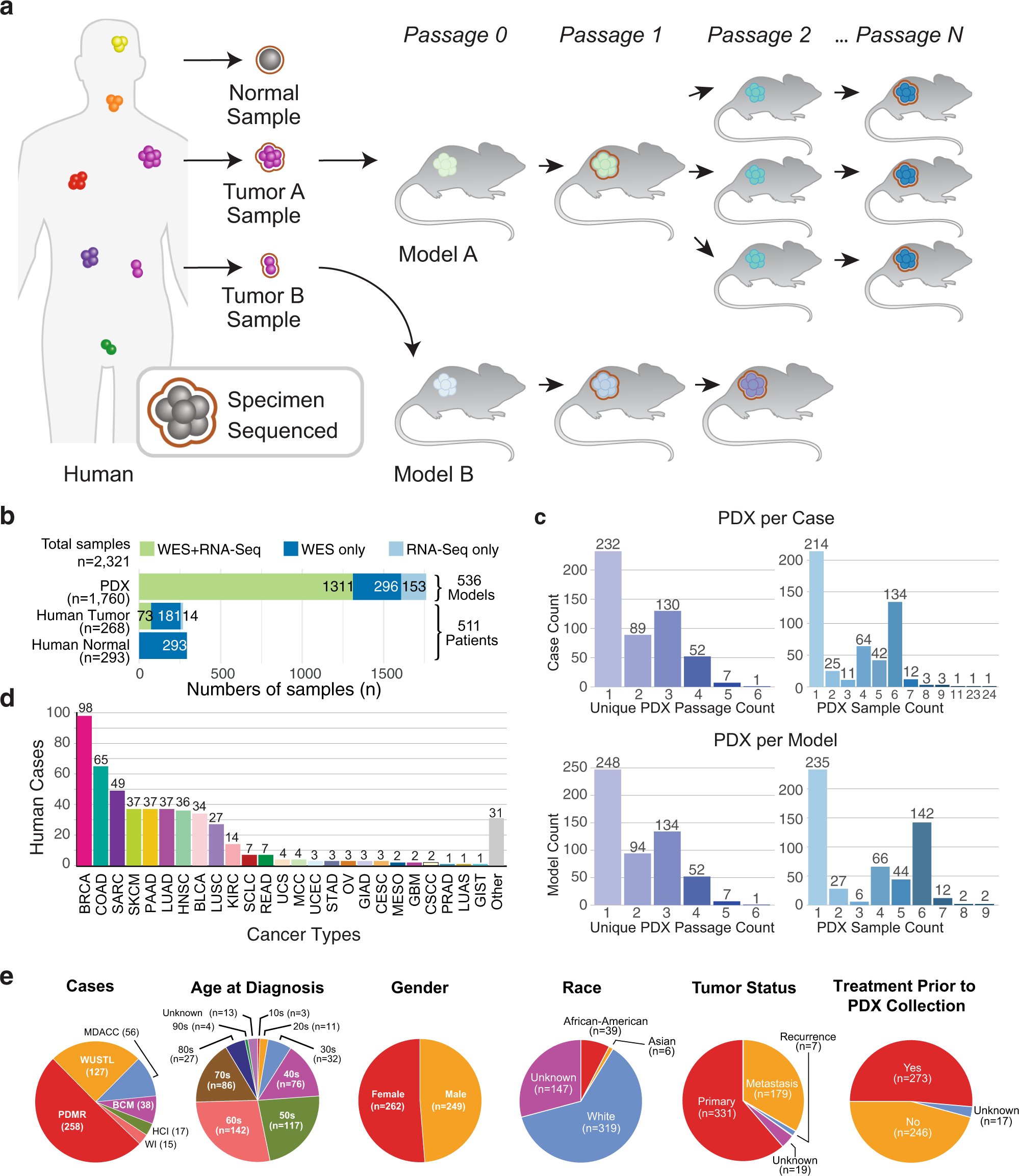 cemccarthy02's tweet card. Nature Communications - Patient-derived xenograft models (PDX) have been extensively used to study the molecular and clinical features of cancers. Here the authors present a cohort of 536 PDX...