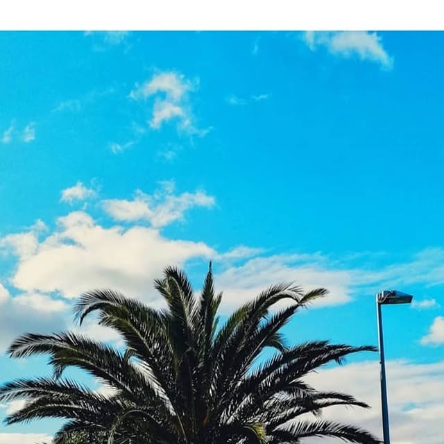 Timecaptions_sa's tweet card. Just take the picture!! (@timecaptions_sa) • Instagram photos and videos