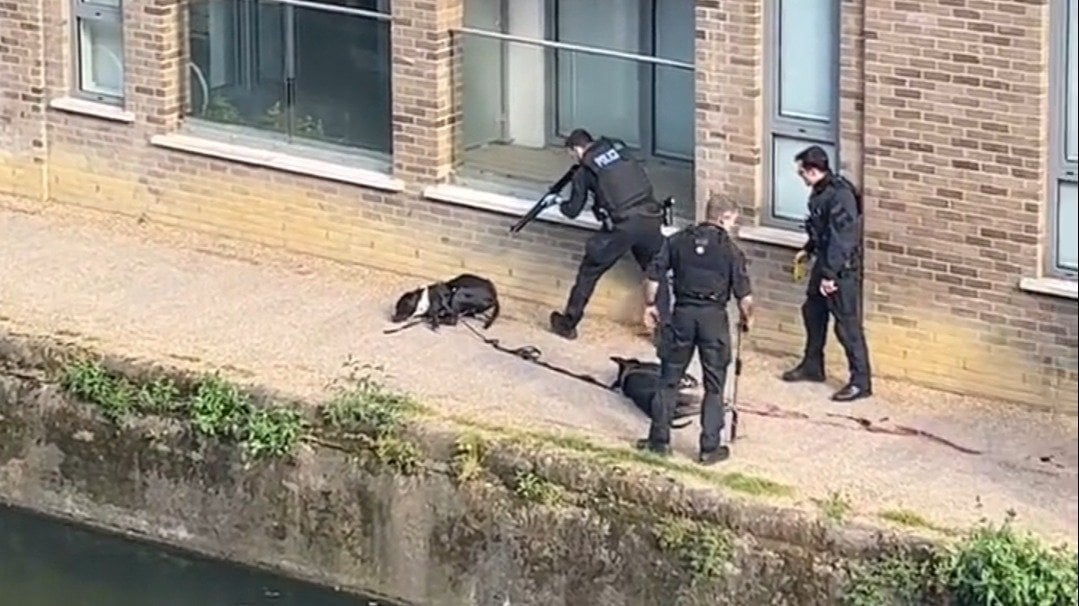 DCommandos's tweet card. Hold the Met Police criminally accountable for the barbaric killing of two leashed dogs